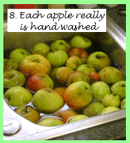 Apples are handwashed